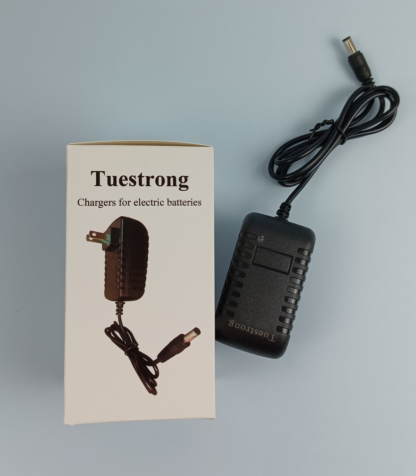 Tuestrong Chargers for electric batteries power adapter output universal charging cable battery charger